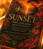 Sunset The Signature Chapter